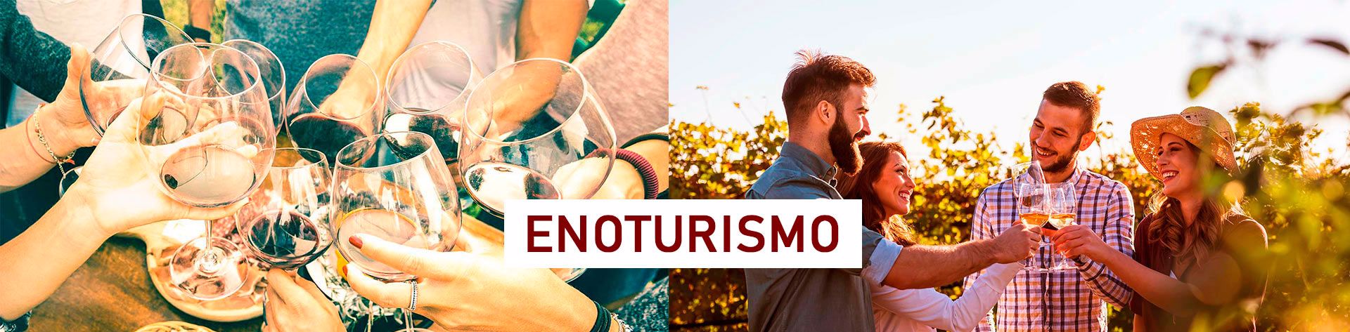 Enoturismo