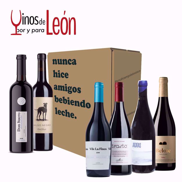 VILE La Finca 2016, elaborado por Cristina Bosch, Ana Serrano e Iñaki Otegi. Trasto Tinto 2021, elaborado por Noelia de Paz. Jagatas Tinto 2019, elaborado por Sara Gonzalez. Don Suero Crianza 2018, elaborado por Cristina Bosch, Ana Serrano e Iñaki Otegi. Belote Timba 2020, elaborado por Alberto Viejo. Galgo Negro 2018, elaborado por Jesus Angel Velado.