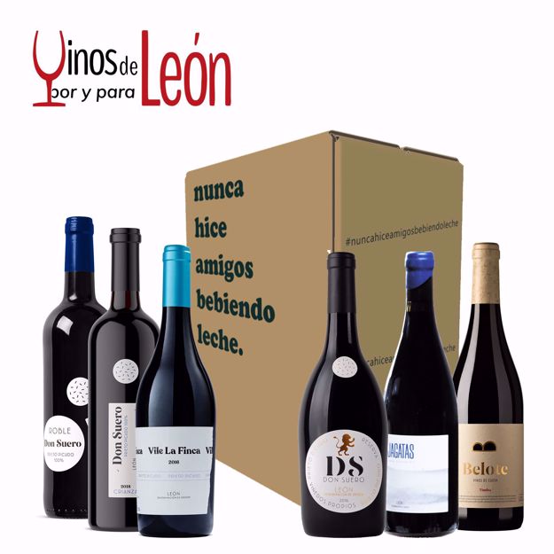 Jagatas Tinto 2019, elaborado por Sara González. Belote Timba 2020, elaborado por Alberto Viejo. Don Suero Crianza 2018, elaborado por Cristina Bosch, Ana Serrano e Iñaki Otegi. Don Suero Reserva 2016, elaborado por Cristina Bosch, Ana Serrano e Iñaki Otegi. VILE La Finca Tinto 2016, elaborado por Cristina Bosch, Ana Serrano e Iñaki Otegi. Don Suero Roble 2020, elaborado por Cristina Bosch, Ana Serrano e Iñaki Otegi.