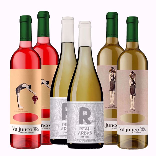 Selección de Vinos Albarín y Prieto Picudo I - Real Arbás y Valjunco