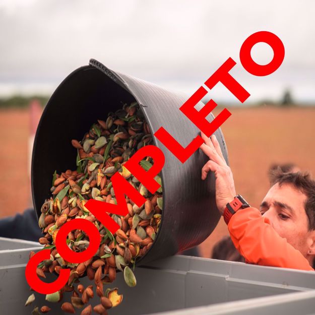 Foto de EVENTO ALMENDRO IV ENTRADA adultos y niños - 26/10/2025